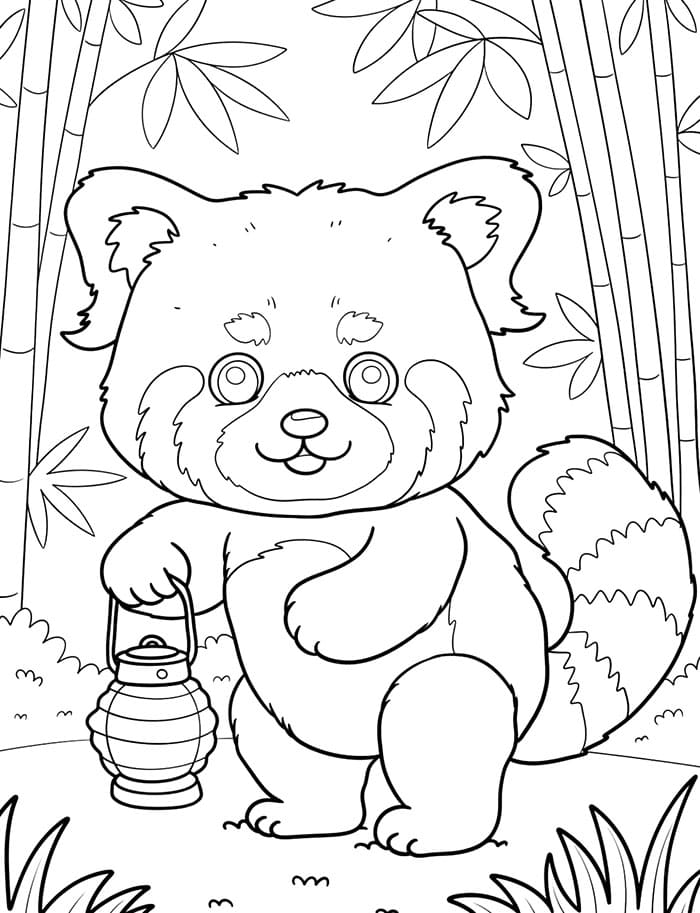 Szőrös vörös panda