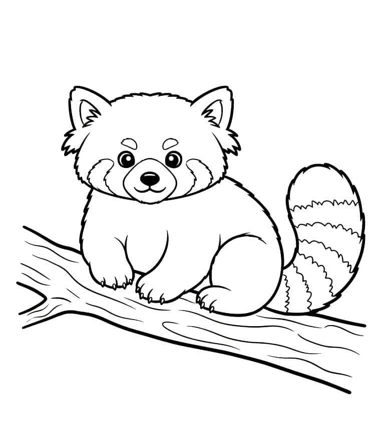 Vörös panda áll a fán