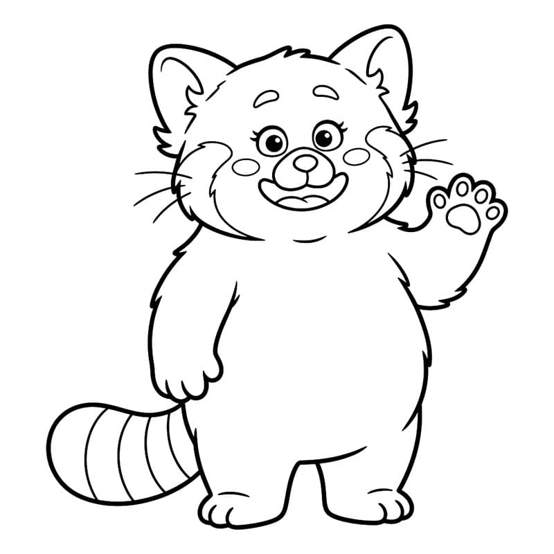 Vörös panda köszön