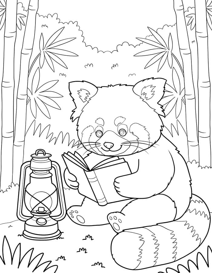 Vörös Panda Nerdy