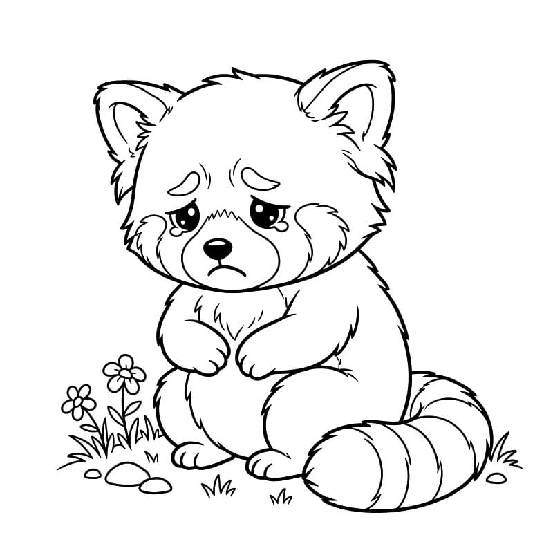 Vörös panda szomorú