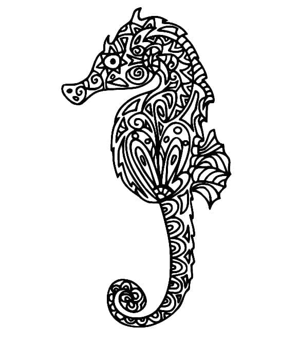 Zentangle csikóhal