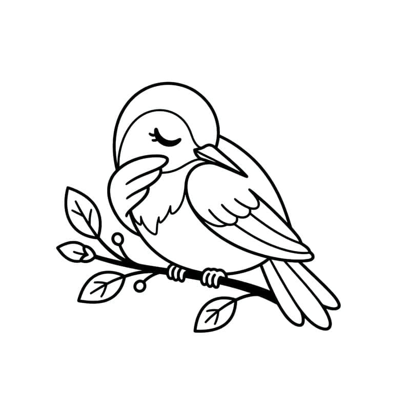 Alvó kolibri