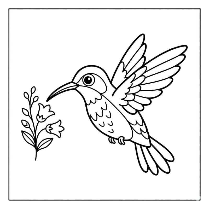 Aranyos kolibri