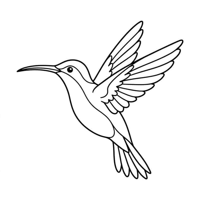 Egyszerű kolibri