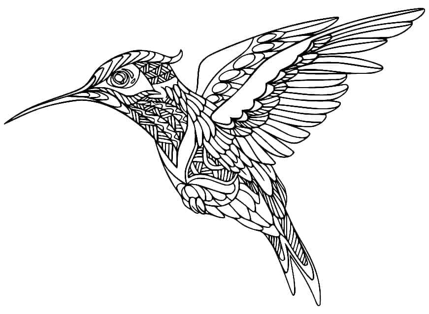 Elfogott kolibri