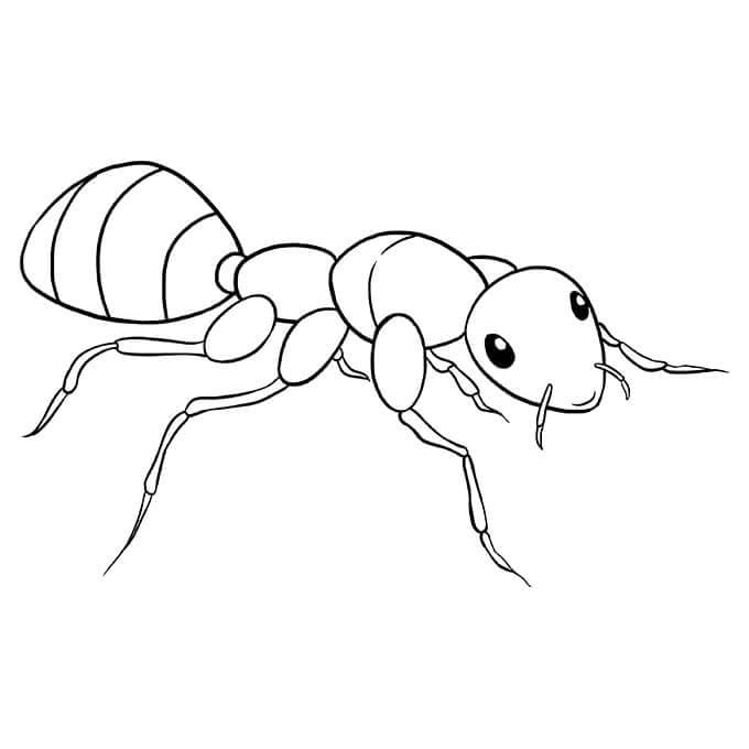 Fantasztikus hangya
