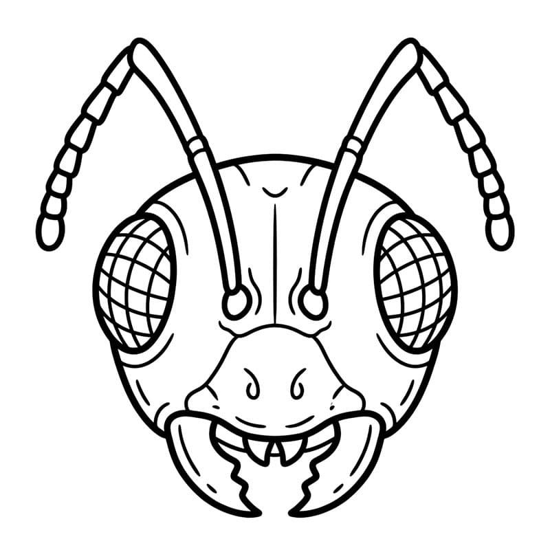 Hangyaarc