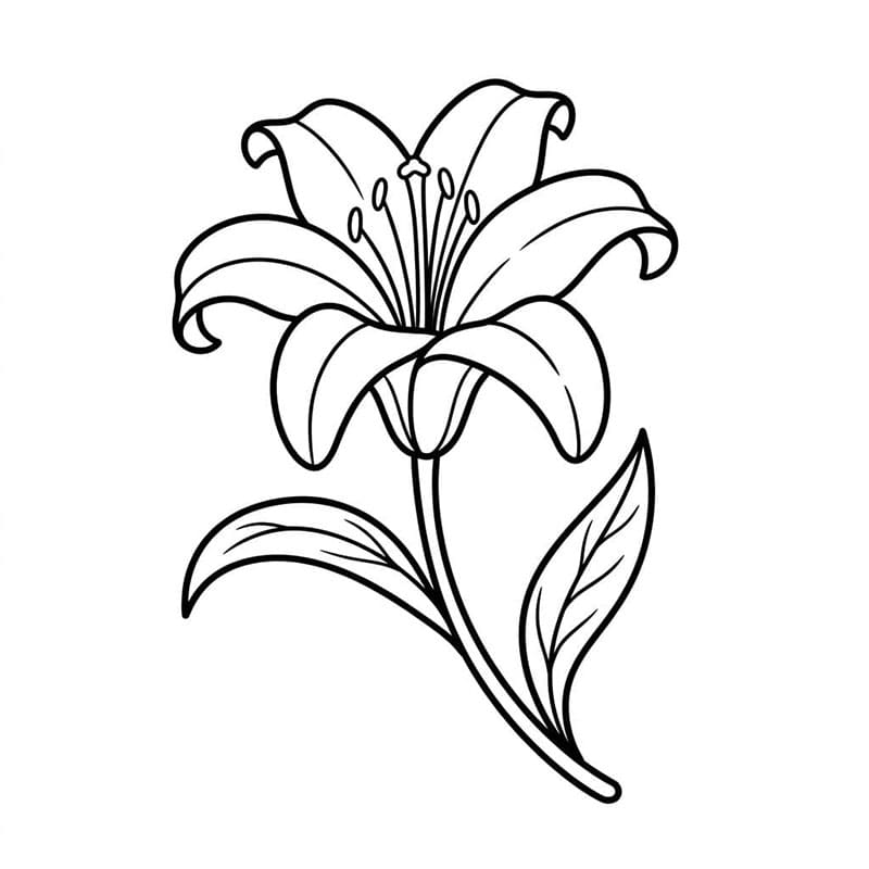 Ívelt liliom