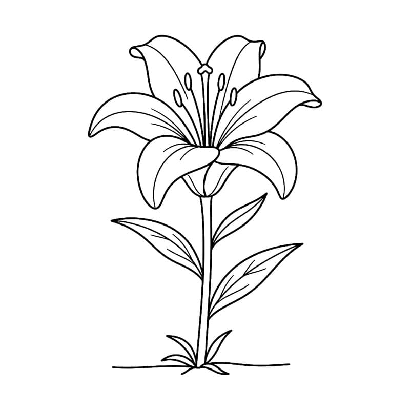 Kecses liliom