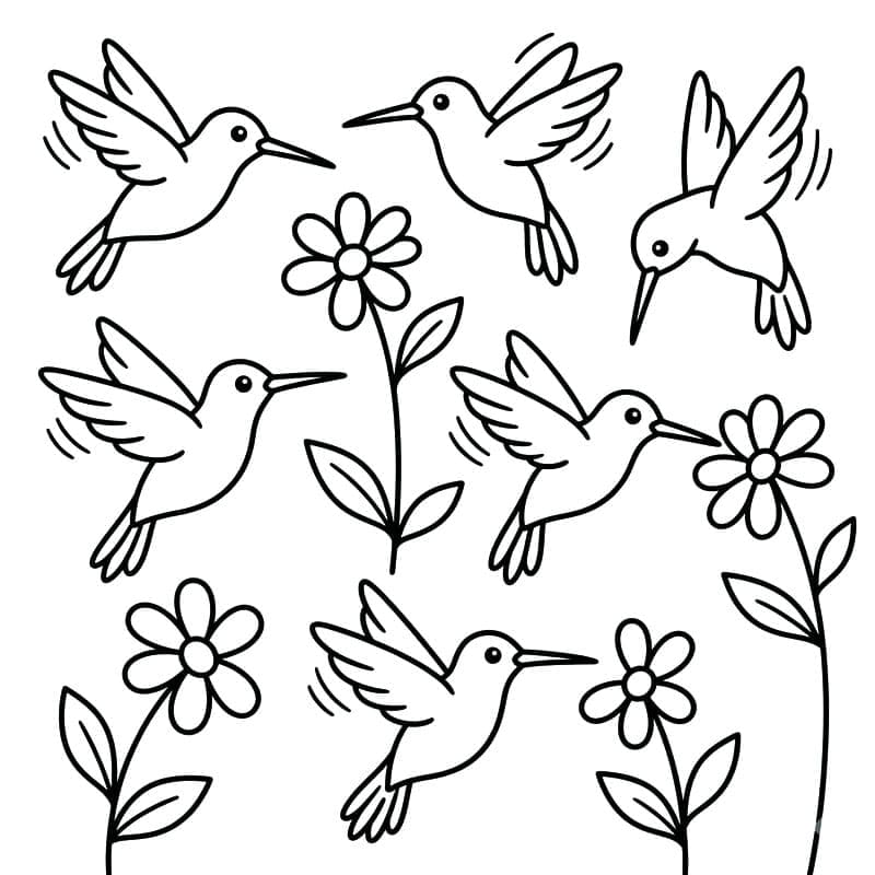 Kolibri, ami ingyen kinyomtatható
