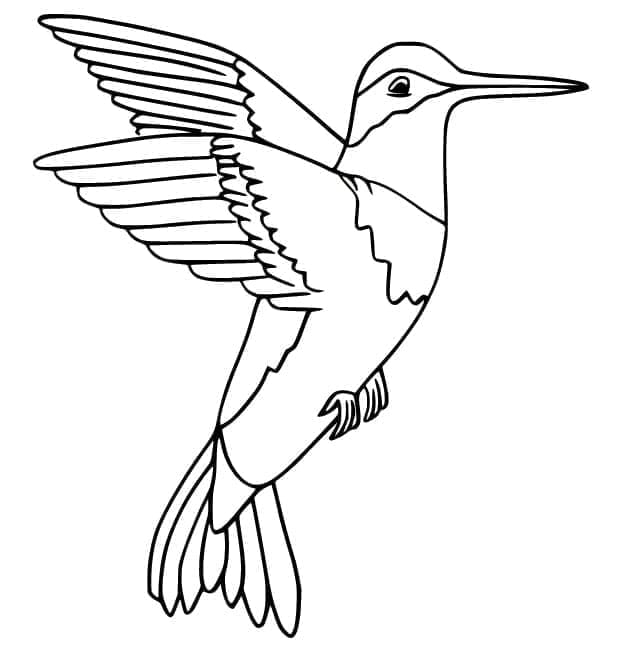 Kolibri hűvös repülés közben