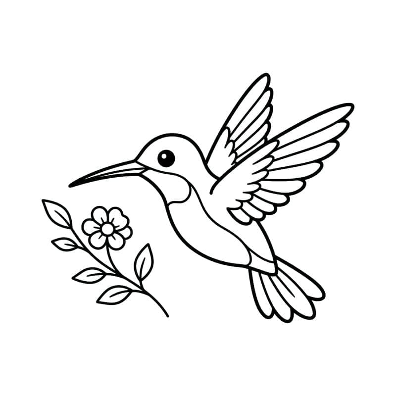 Kolibri minta