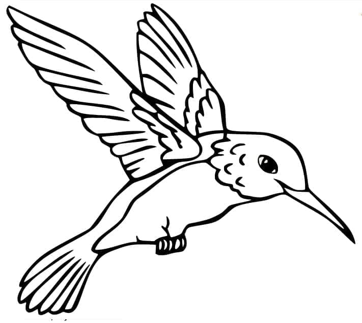 Kolibri nyomtatás ingyenes