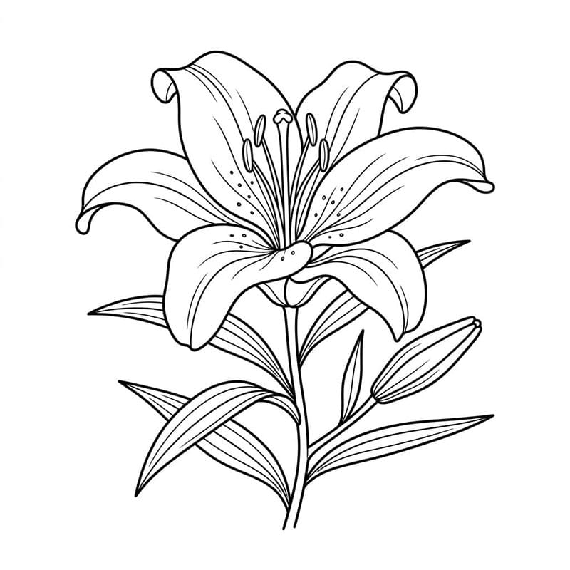 Liliommentes