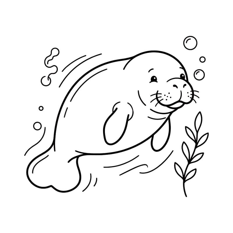 Manatee úszás