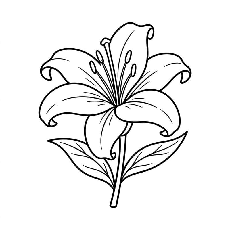 Nagy liliom