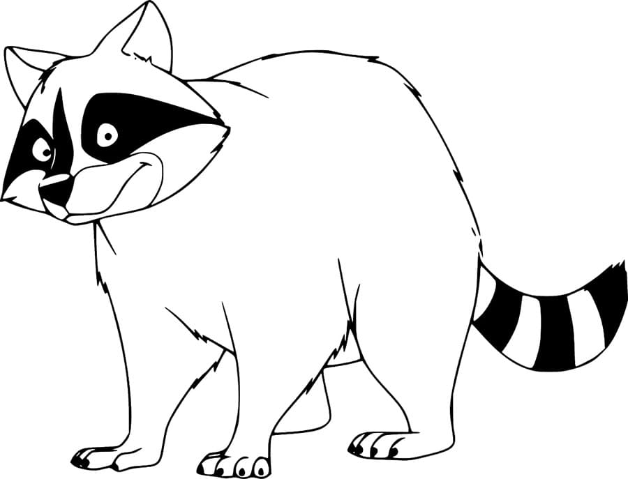 Rajzfilm mosómedve