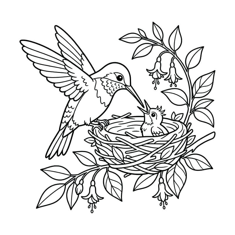 Szabadon barangoló kolibri
