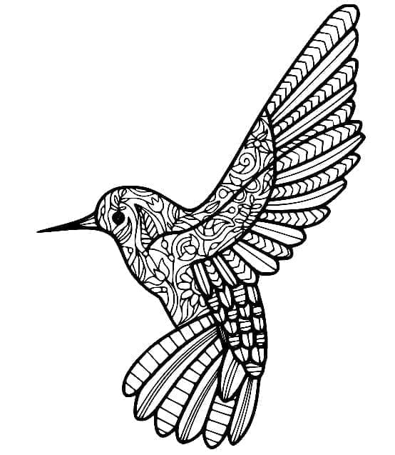 Százszögű kolibri