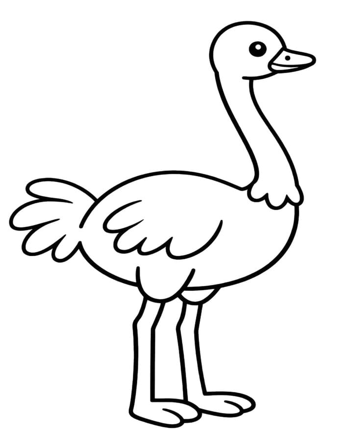 Döntetlen Strucc egyszerű