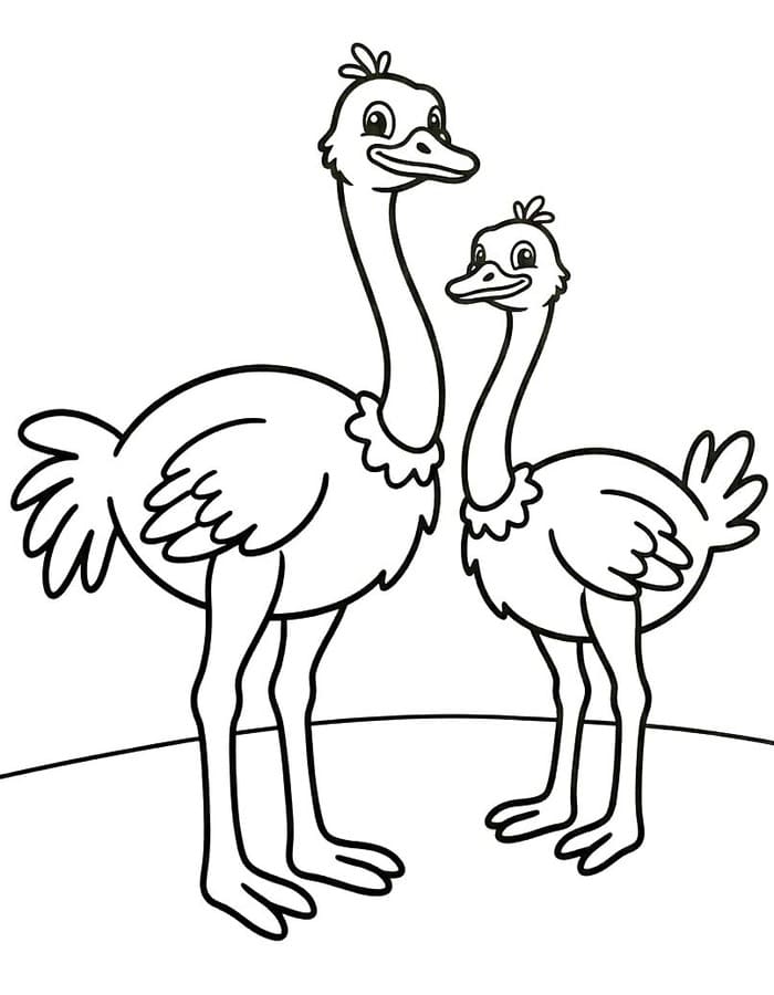 Ingyenesen Strucc