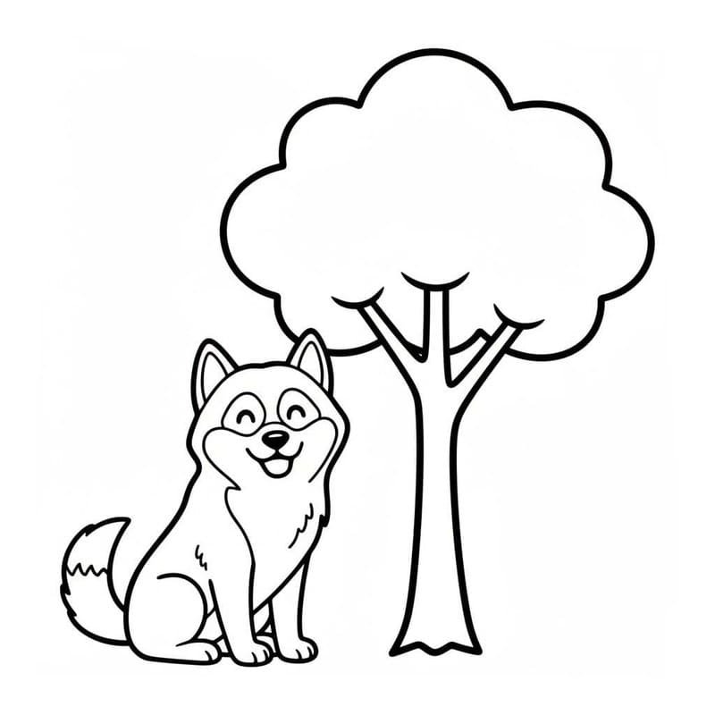 Döntetlen Husky alapvető