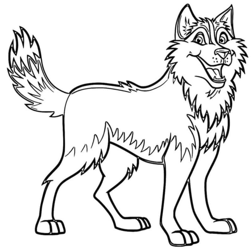 Döntetlen Husky ingyenesen alapvető