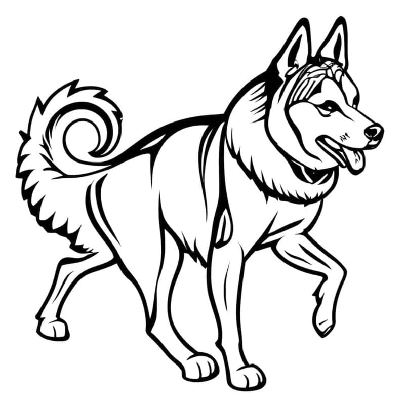 Döntetlen Husky nyomtatható egyszerű