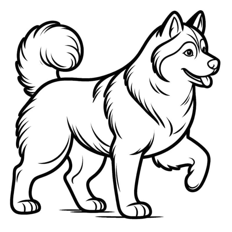 Husky nyomtatható