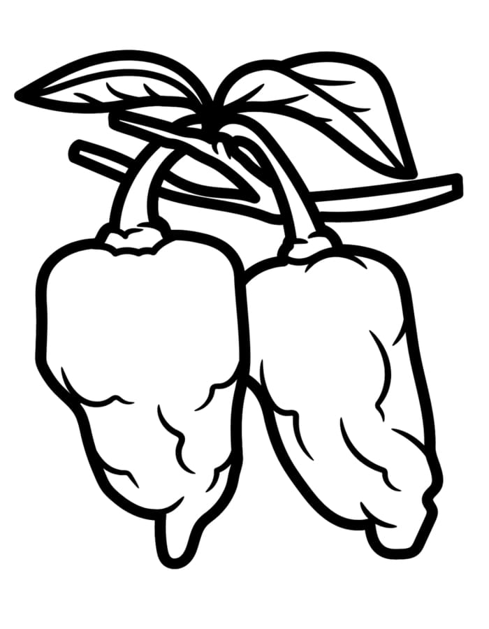 Ingyenesen Paprika