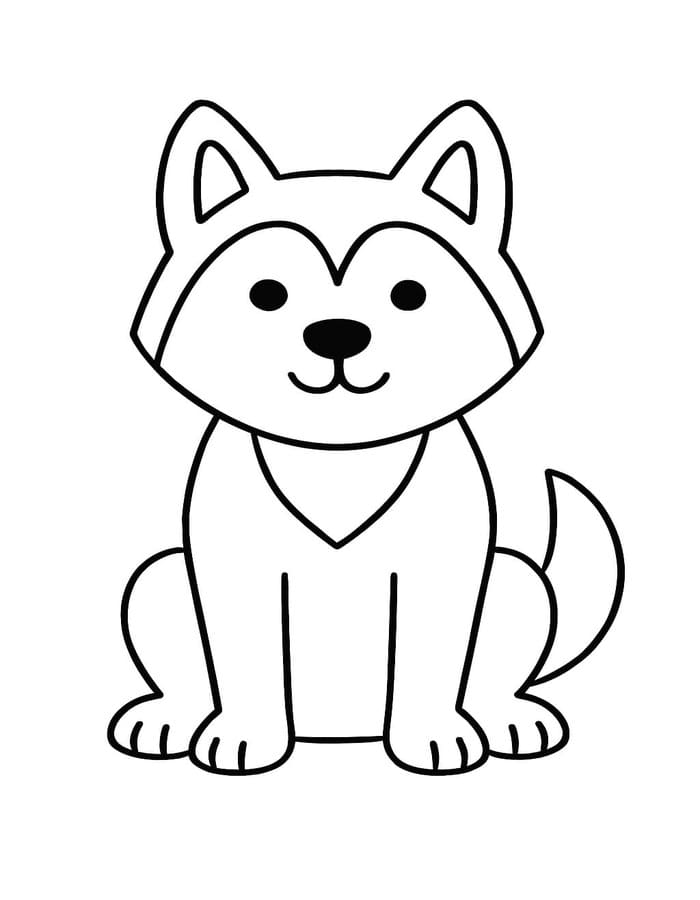 Husky színezők
