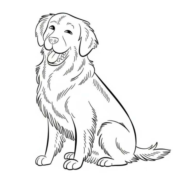 Döntetlen Golden Retriever ingyenesen egyszerű