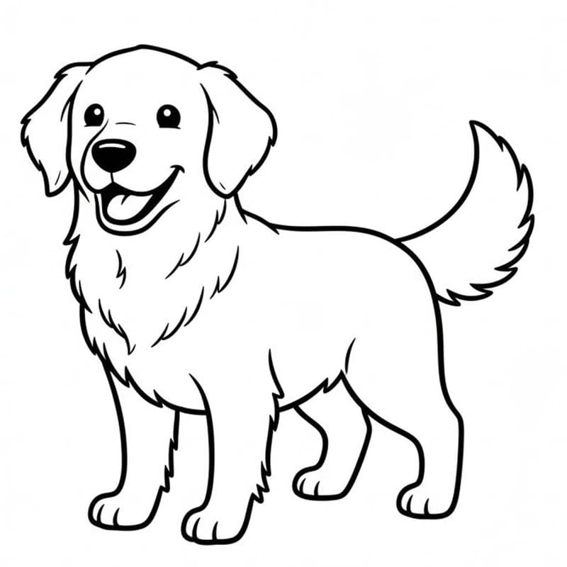Döntetlen Golden Retriever könnyen