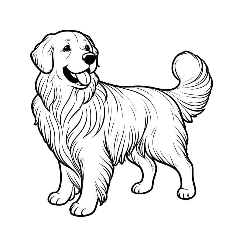 Döntetlen Golden Retriever nyomtatható könnyen