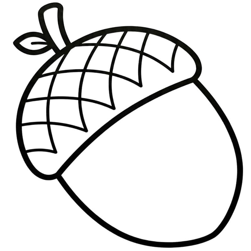 Döntetlen Makk gyerekeknek
