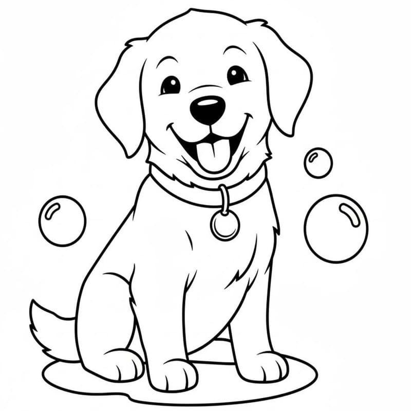 Golden Retriever ingyenesen alapvető