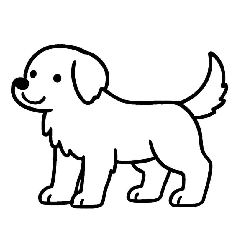 Golden Retriever ingyenesen