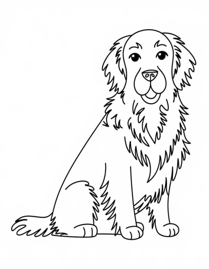 Golden Retriever nyomtatható egyszerű