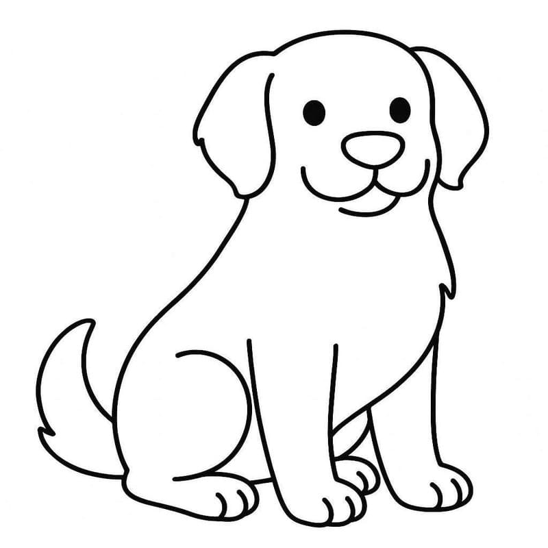 Golden Retriever színezők