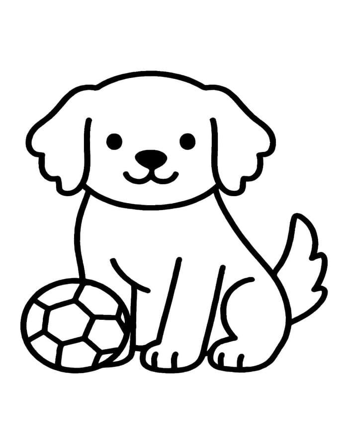 Golden Retriever nyomtatható