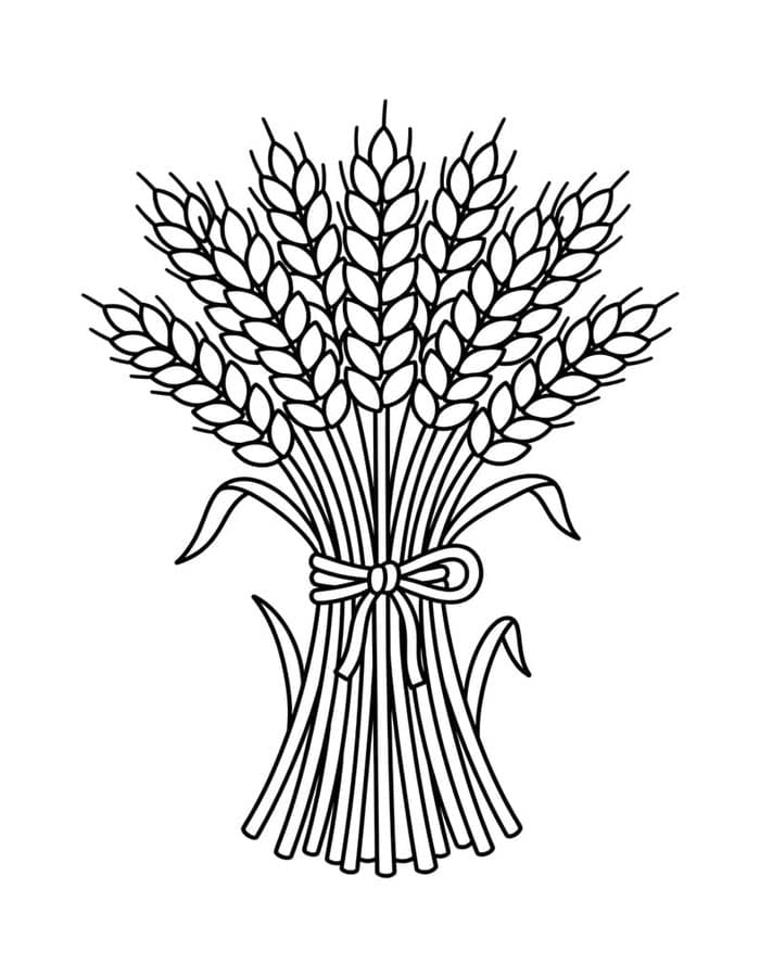Ingyenesen Búza