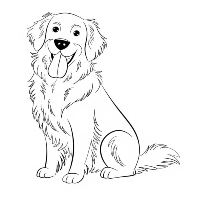 Ingyenesen Golden Retriever