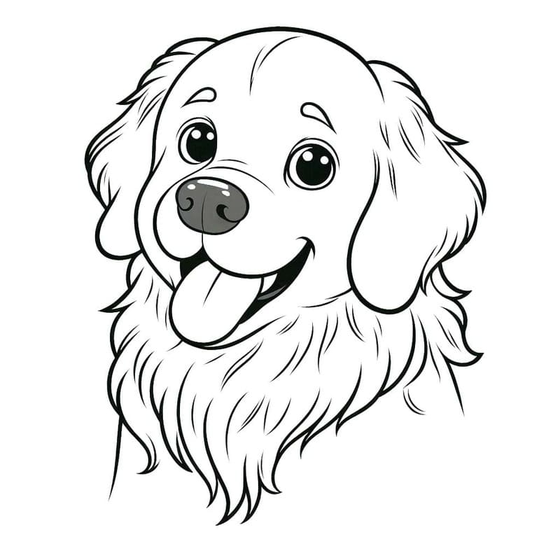 Kép Golden Retriever ingyenesen
